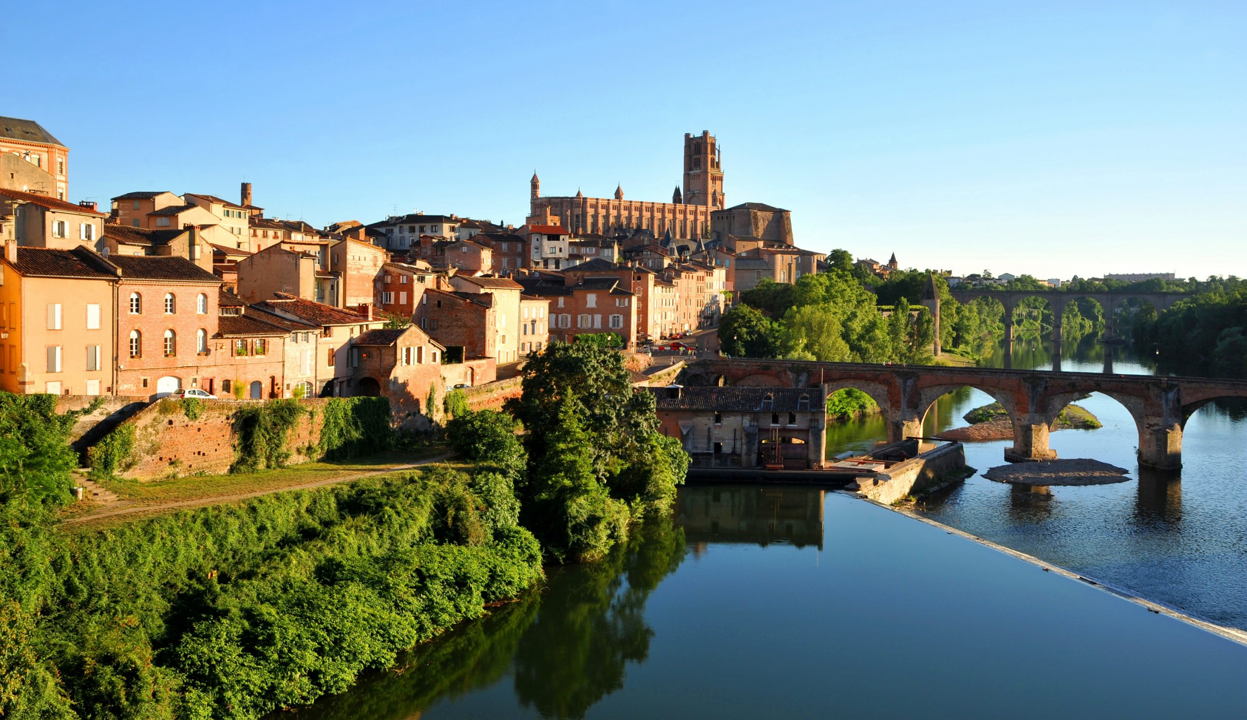 Albi