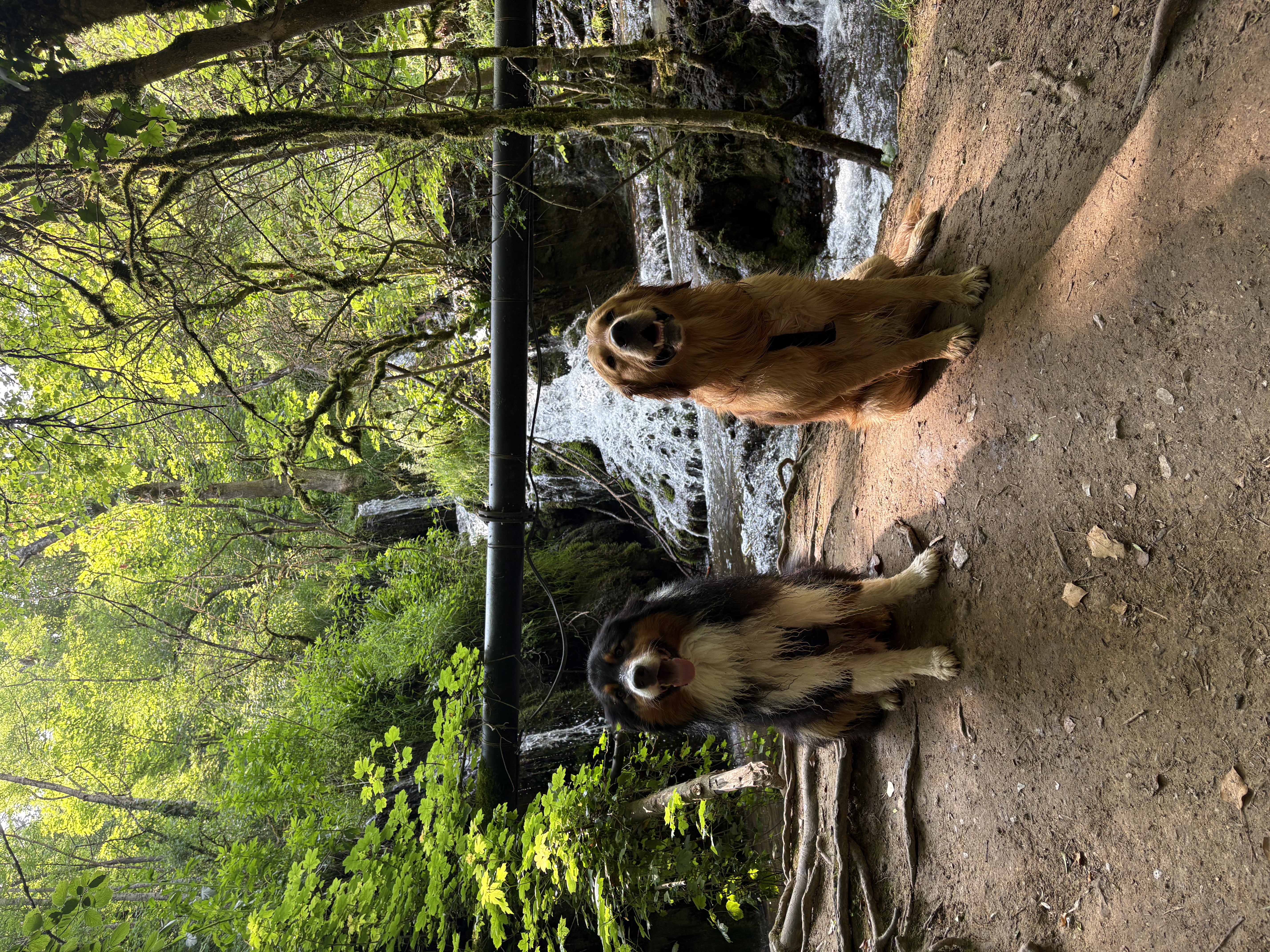 Randonnée fraîcheur aux cascades de Creissels