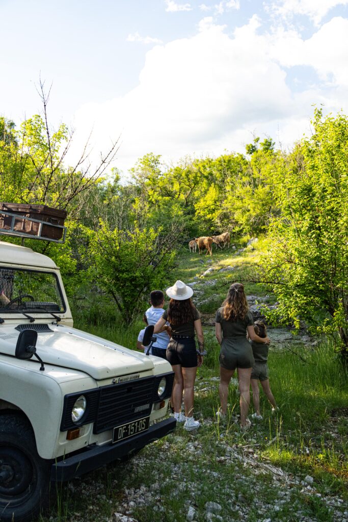 Safari de Saint-Cirq-Lapopie