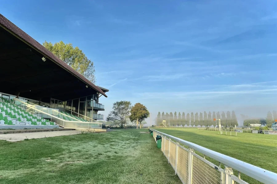 Les courses hippiques 