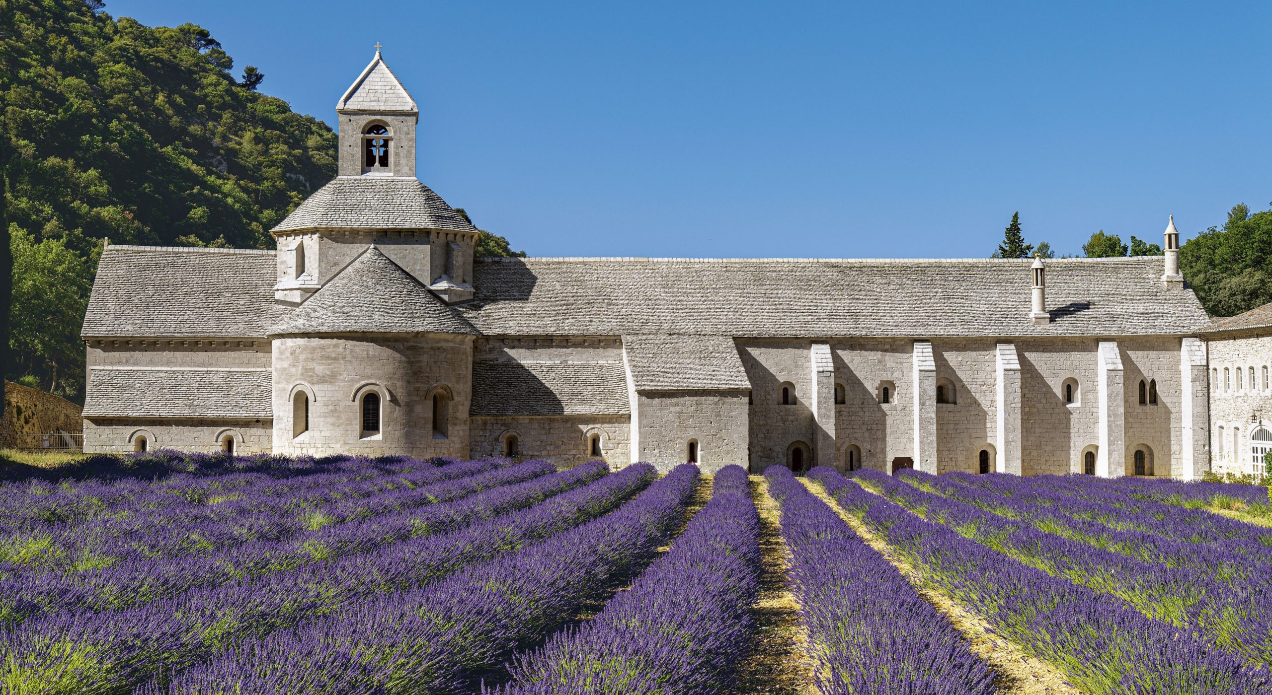 Abbaye Notre-Dame de Sénanque