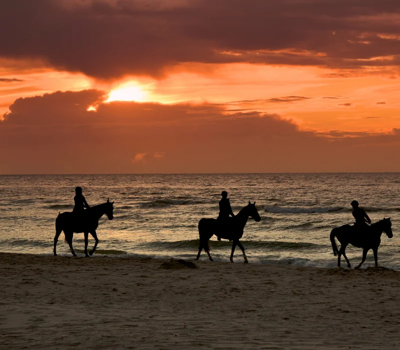 Equitation