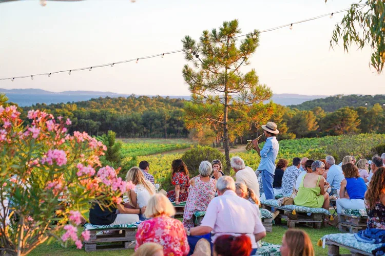 Animations dans les vignobles 